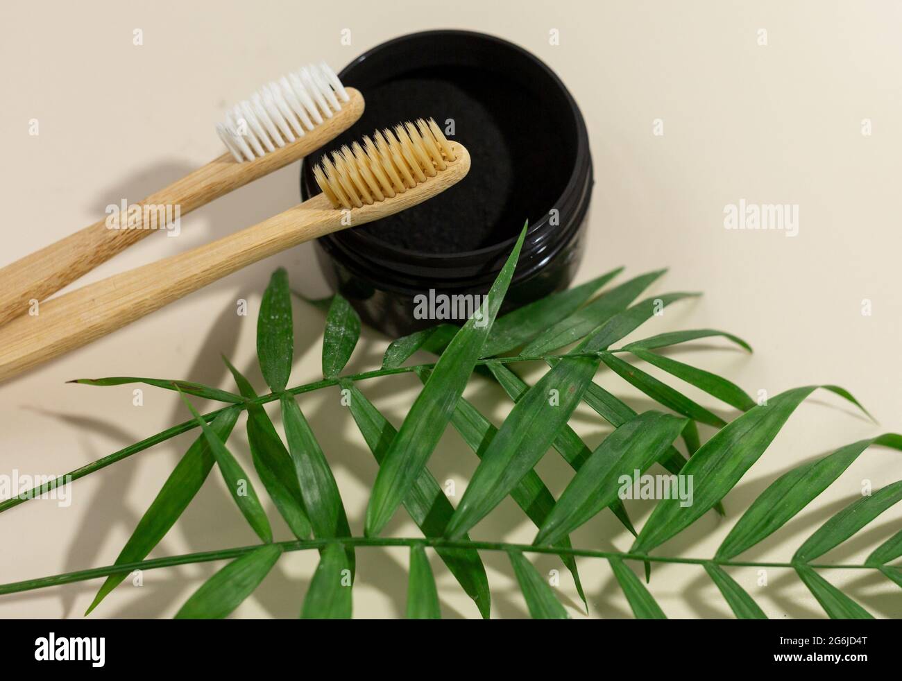 Un set di spazzolini eco-friendly di bambù e polvere nera del dente su uno sfondo beige pastello. Stile di vita sostenibile e senza sprechi. Concetto privo di plastica Foto Stock