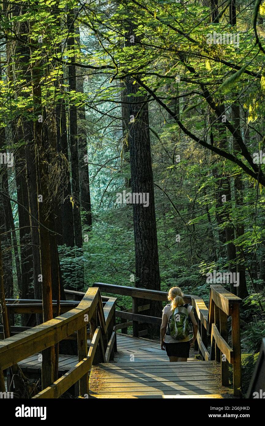 Woman on Trail, Lynn Canyon Regional Park, North Vancouver, British Columbia, Canada Foto Stock