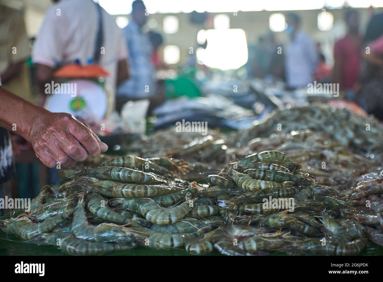 Cumulo di gamberetti crudi freschi da vendere al mercato tradizionale del pesce e del pesce Foto Stock