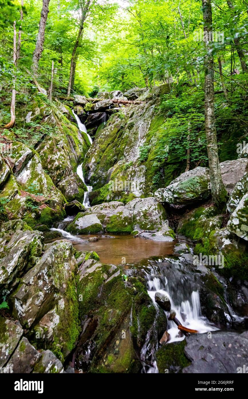 Panoramica panoramica delle Cascate Dark Hollow al parco nazionale di Shenandoah in estate Foto Stock
