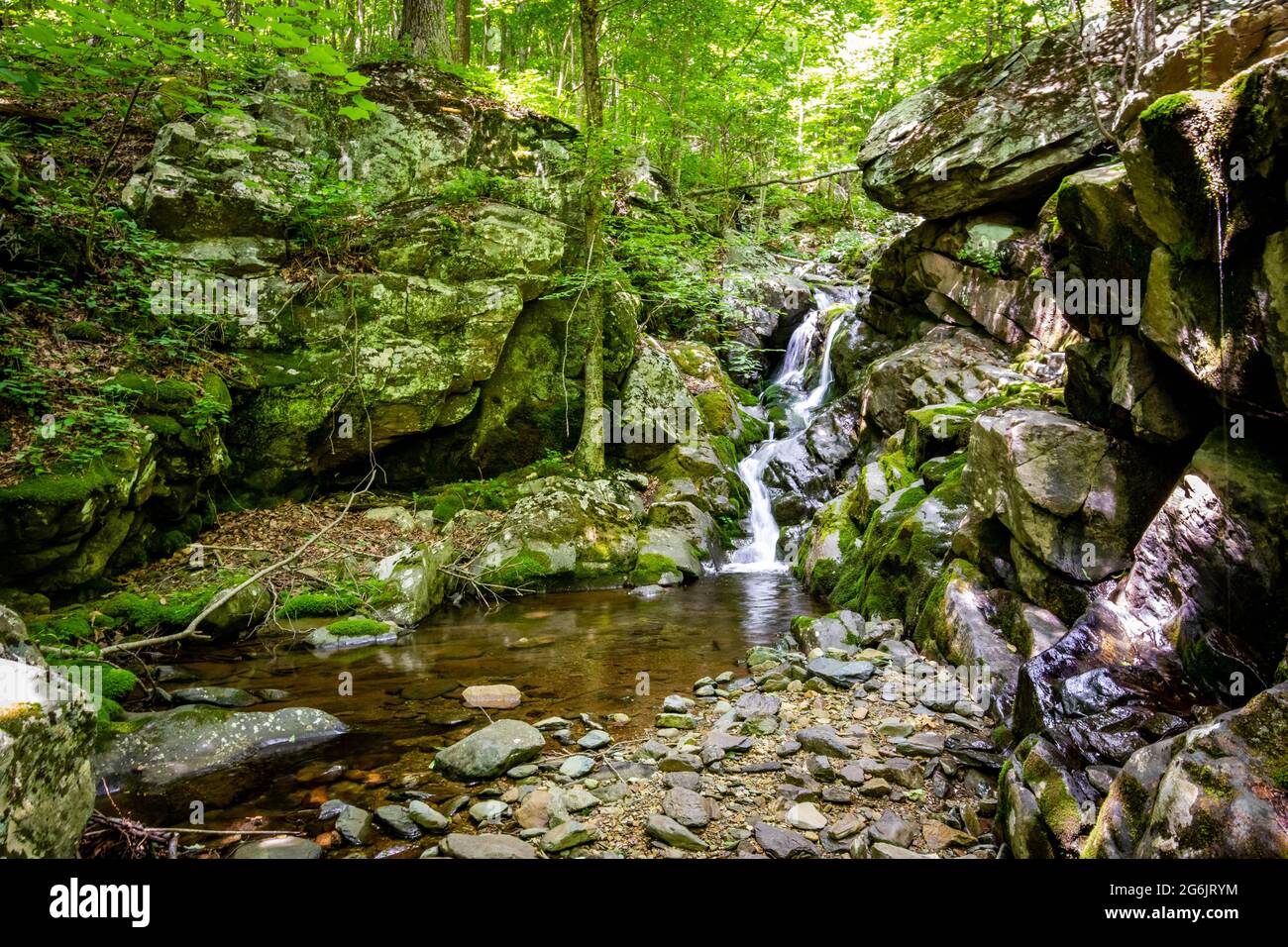 White Oak Canyon e Cedar Run Trail loop cascate e cascate nel Shenandoah National Park Foto Stock