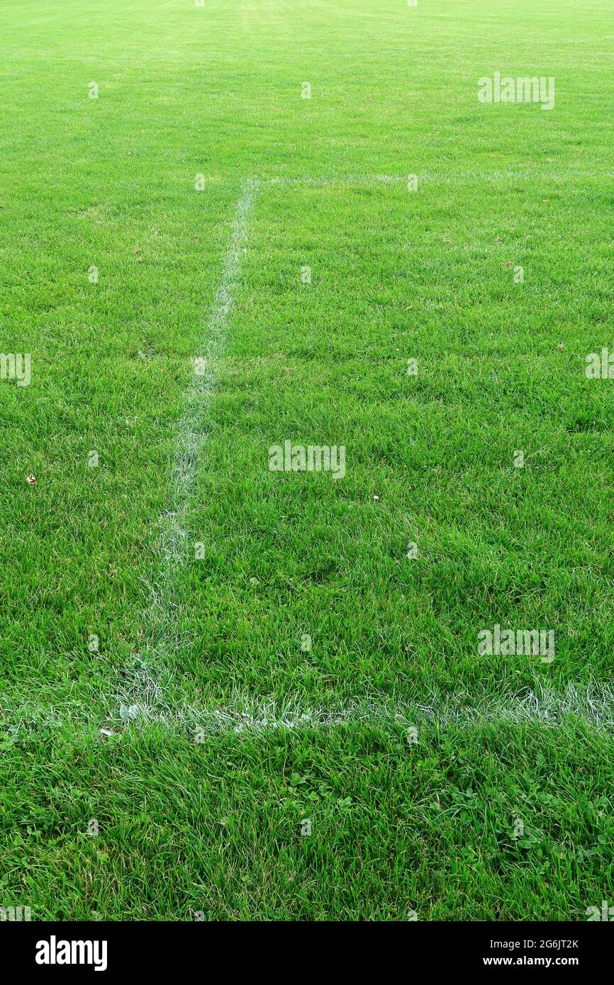 Linee bianche di passo in un campo di erba Foto Stock