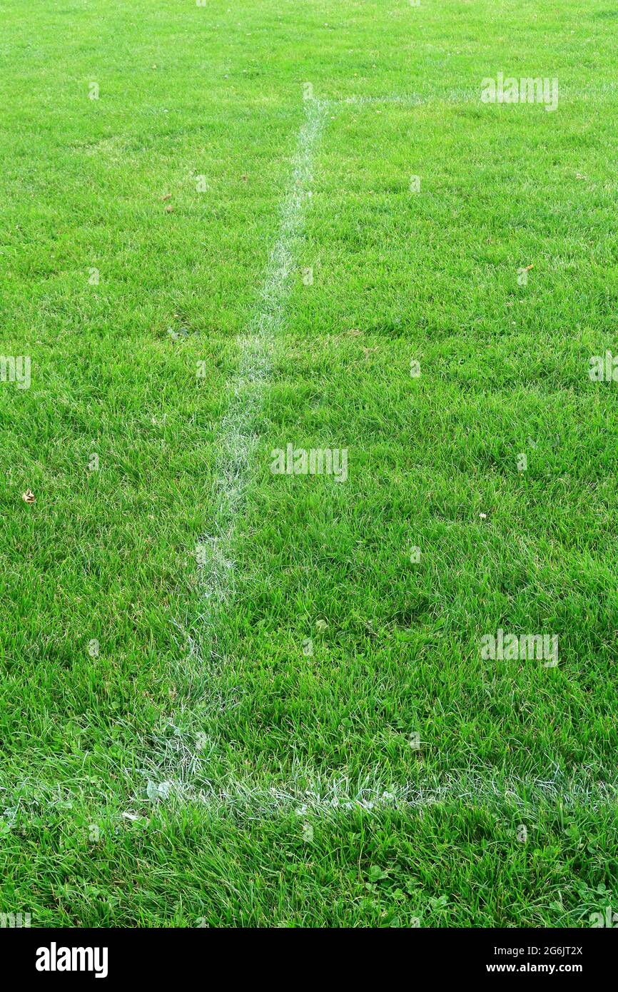 Linee di marcatura bianche su un campo verde Foto Stock