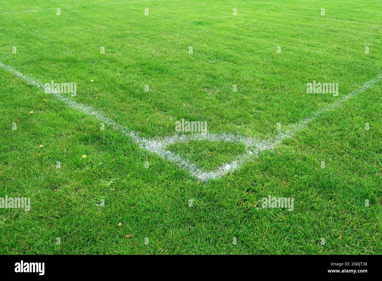 Marcature bianche su un campo verde per illustrare il concetto di sport Foto Stock
