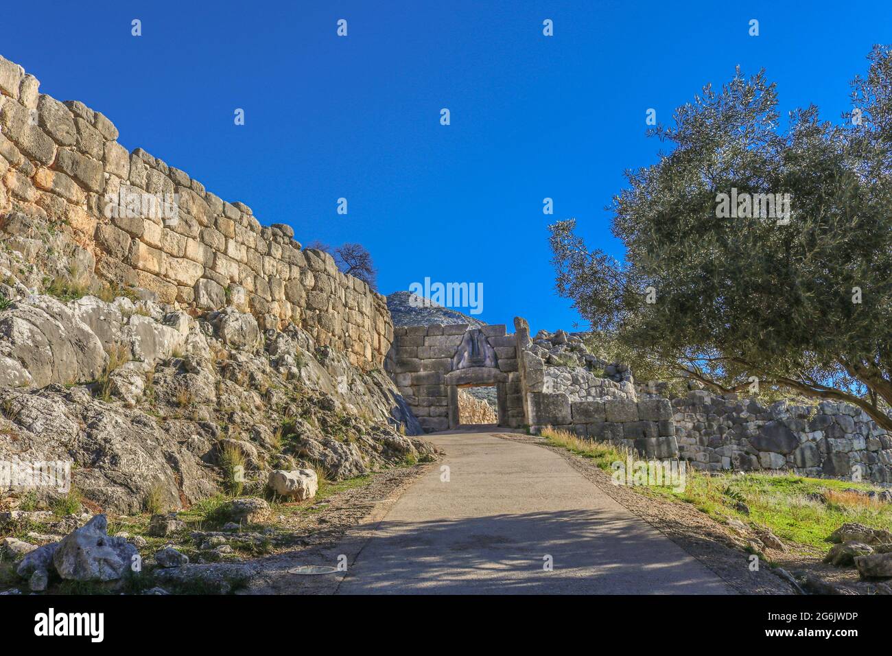Vista della porta dei Lions nell'antica Grecia di Micene dal basso della collina che mostra il marciapiede - ombreggiato da un olivo - che conduce attraverso l'apertura e l'h Foto Stock