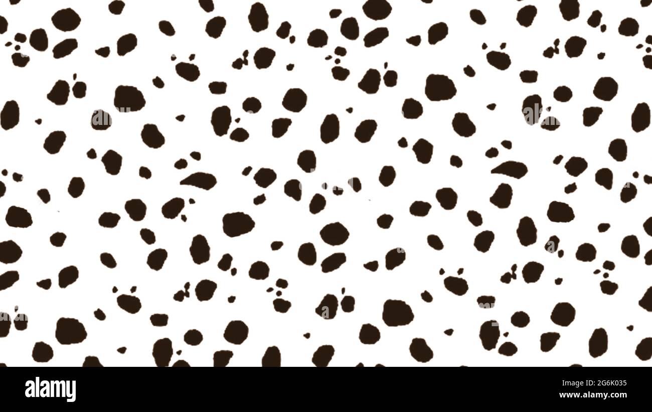 Sfondo bianco e nero di macchie dalmate Foto Stock