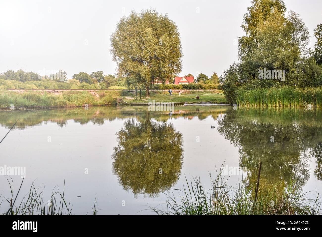 Riflessi paesaggistici sul lago Foto Stock