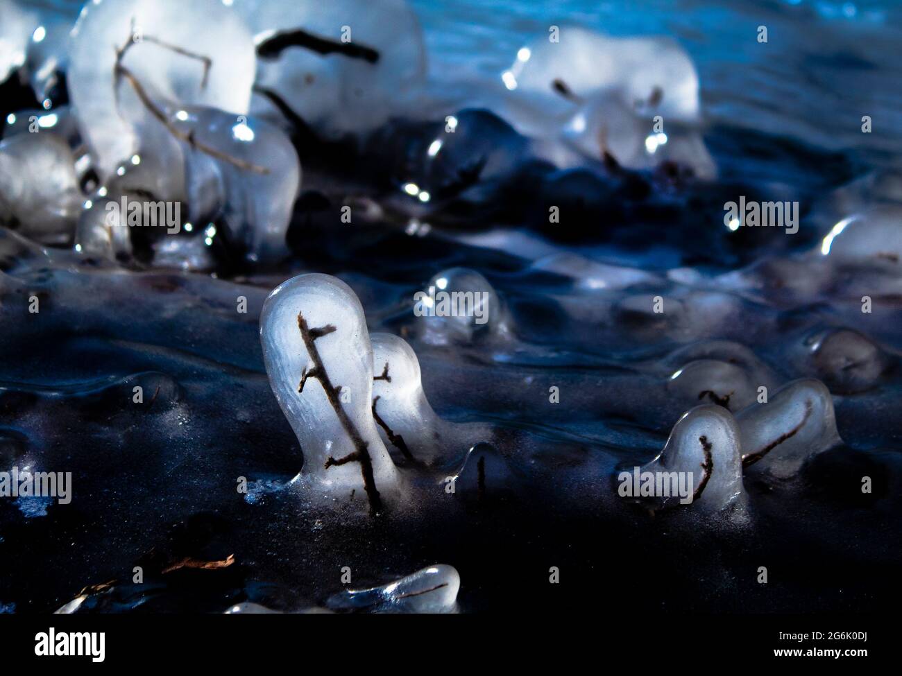 Perfetto per pubblicità, siti web e articoli Foto Stock