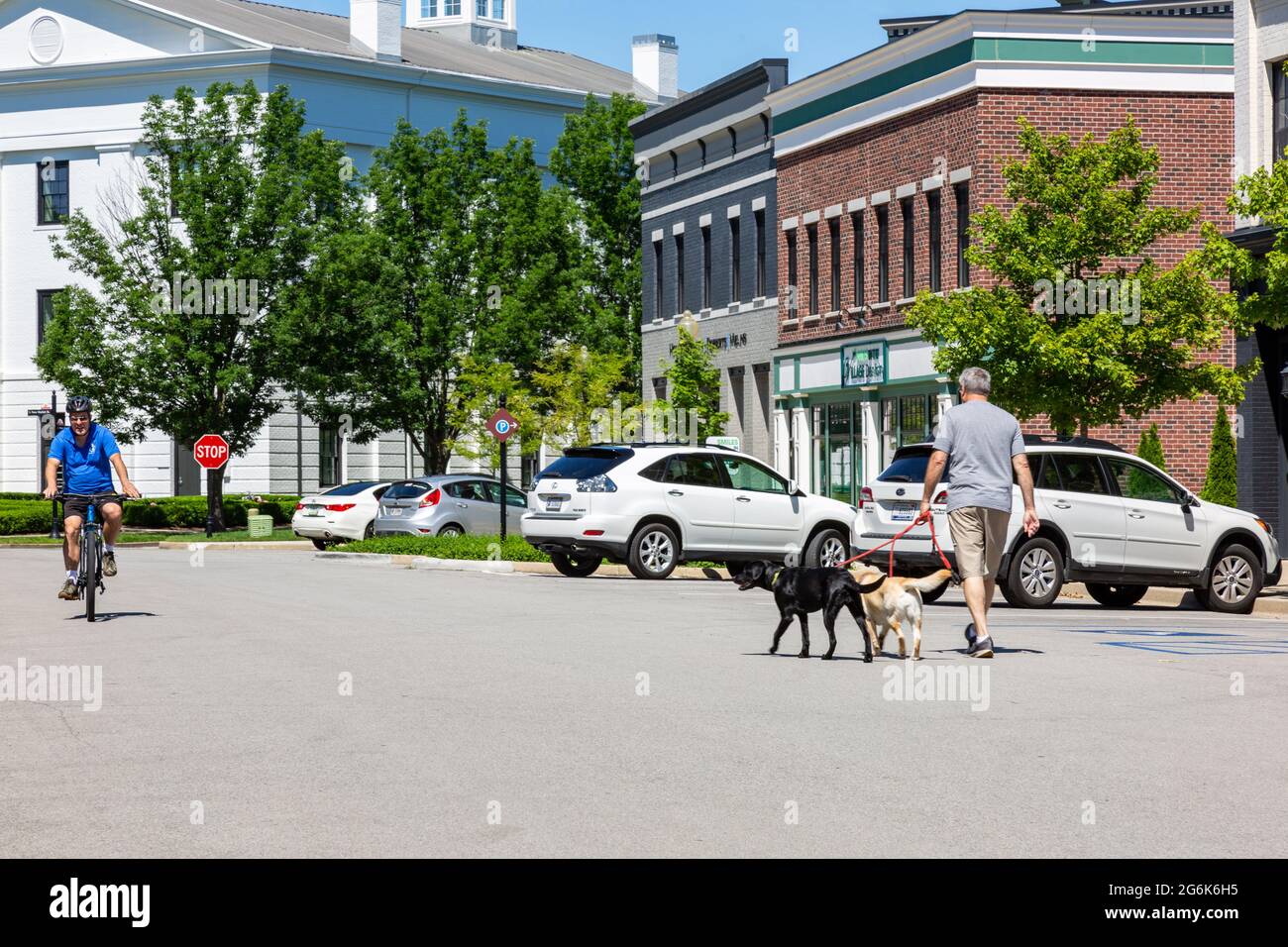 Un uomo cammina i suoi cani verso un ciclista che viaggia nella direzione opposta su Horseferry Road a Carmel, Indiana's Village di WestClay. Foto Stock