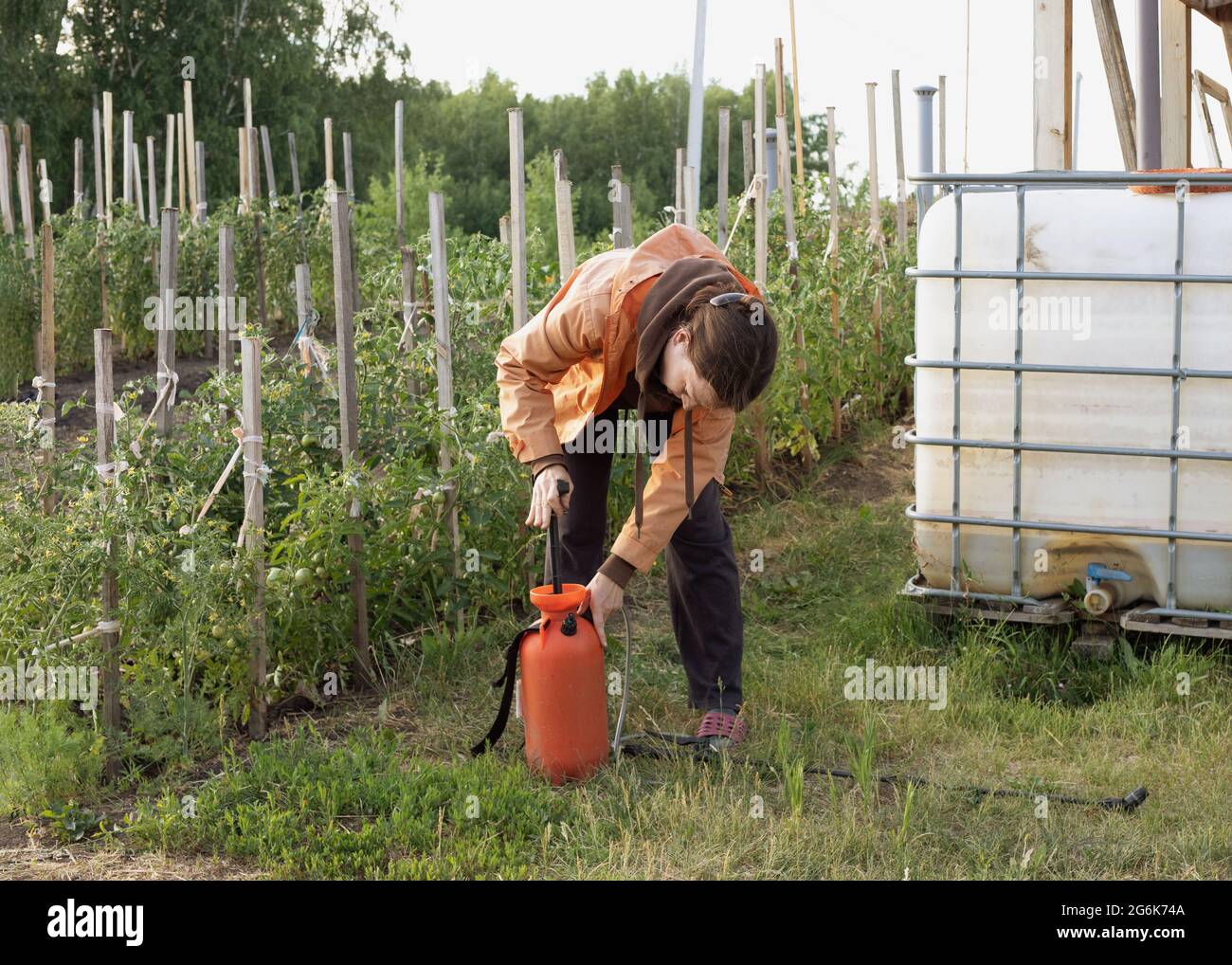 femmina agricoltore prepara pompa per spruzzare fertilizzanti o pesticidi in giardino. Protezione delle piante da parassiti o concimazione stagionale con trace ele Foto Stock
