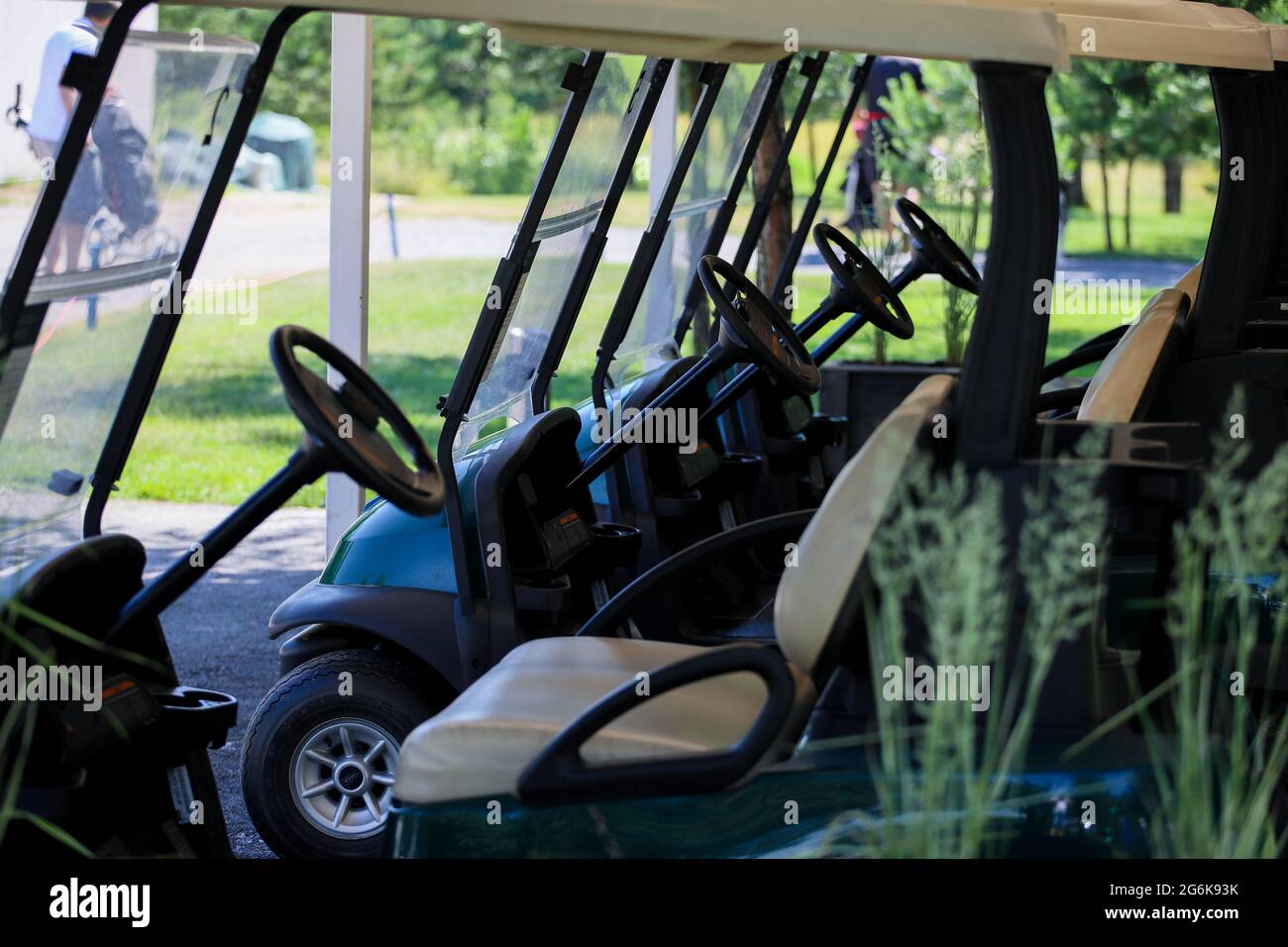 L'auto elettrica sul campo da golf si trova all'ombra degli alberi. Foto Stock