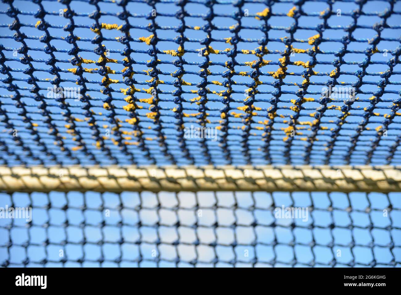 Netting in obiettivo Foto Stock