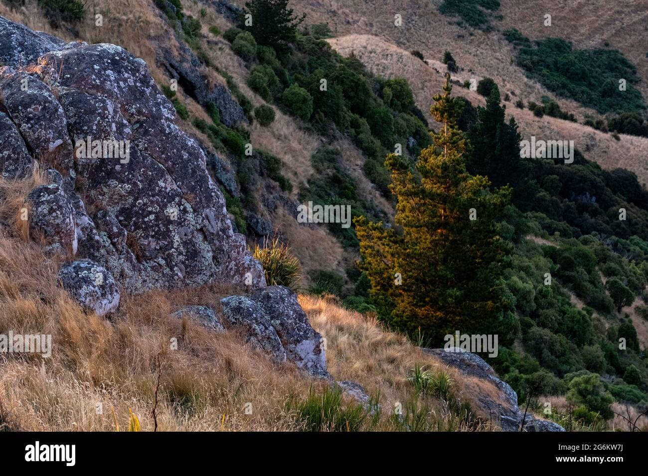 Alba su Porthills, Christchurch, Aotearoa Nuova Zelanda. Le Port Hills sono un residuo di 12 milioni di anni del cratere del vulcano Lyttelton. Vento, ra Foto Stock