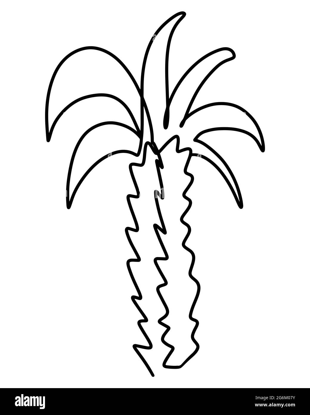 Disegno a linee della struttura ad albero di palma, illustrazione vettoriale. Albero esotico tropicale, una linea. Illustrazione Vettoriale
