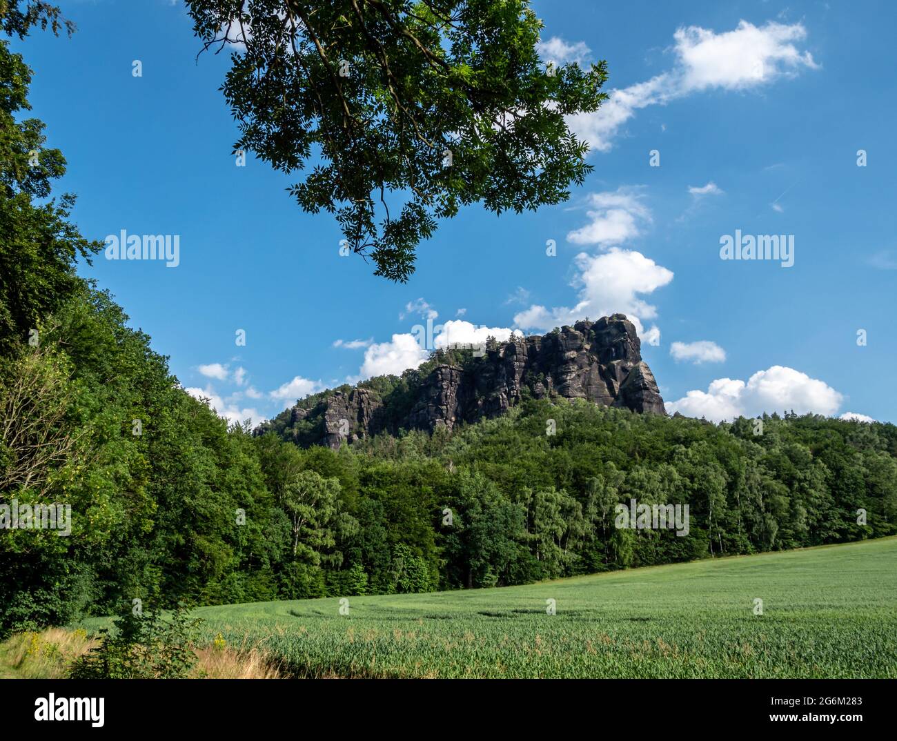 Vista del Lilienstein in Svizzera sassone Foto Stock