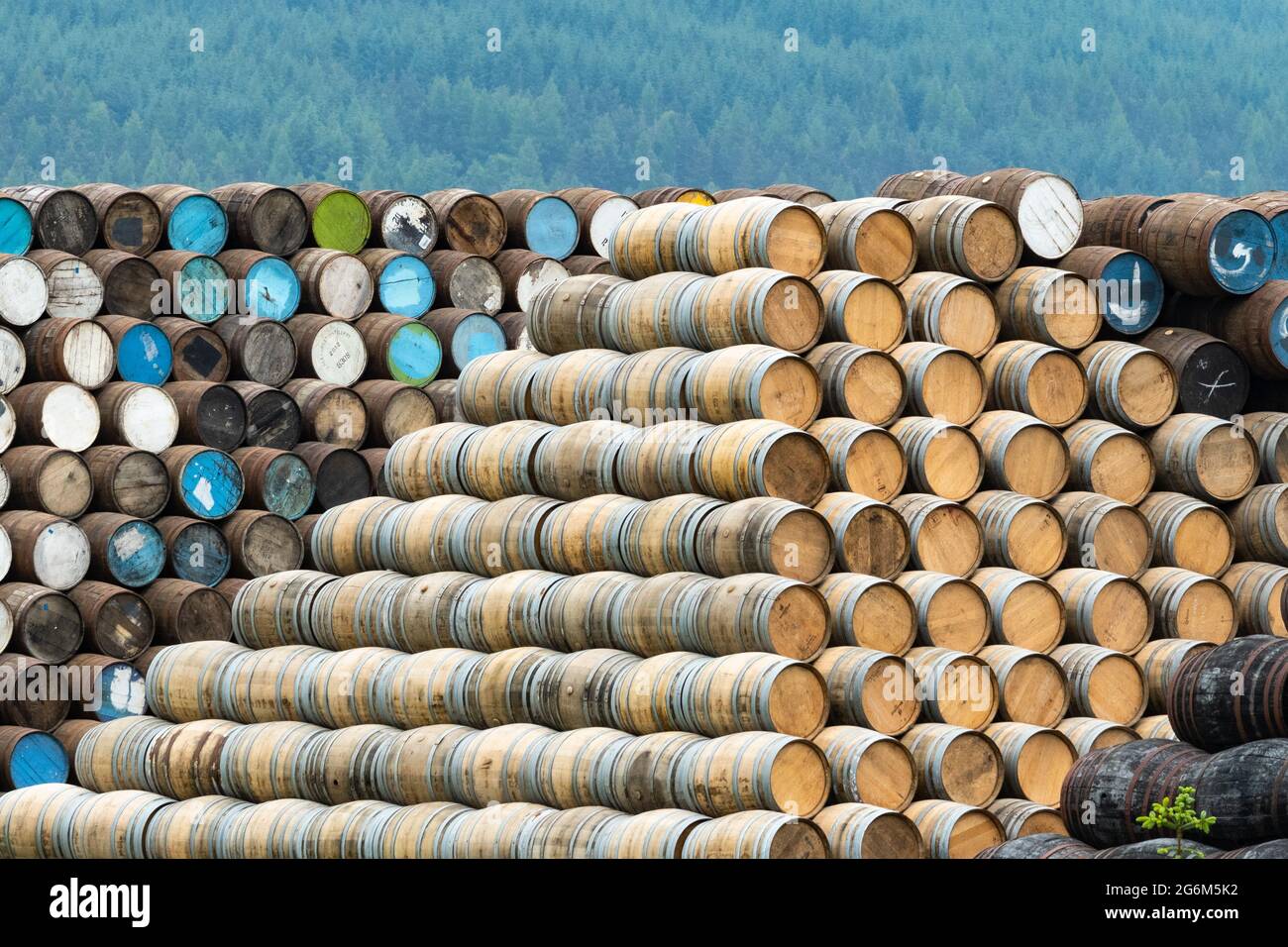 Botti di whisky accatastate a Speyside cooperage, Banffshire, Scozia, Regno Unito Foto Stock