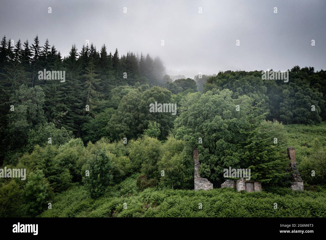 Dafodill Cottage nel villaggio di Erkart, purtroppo un insediamento dimenticato a lungo ora quasi interamente assorbito nella foresta di Balmacaan sopra Loch Ness. Foto Stock