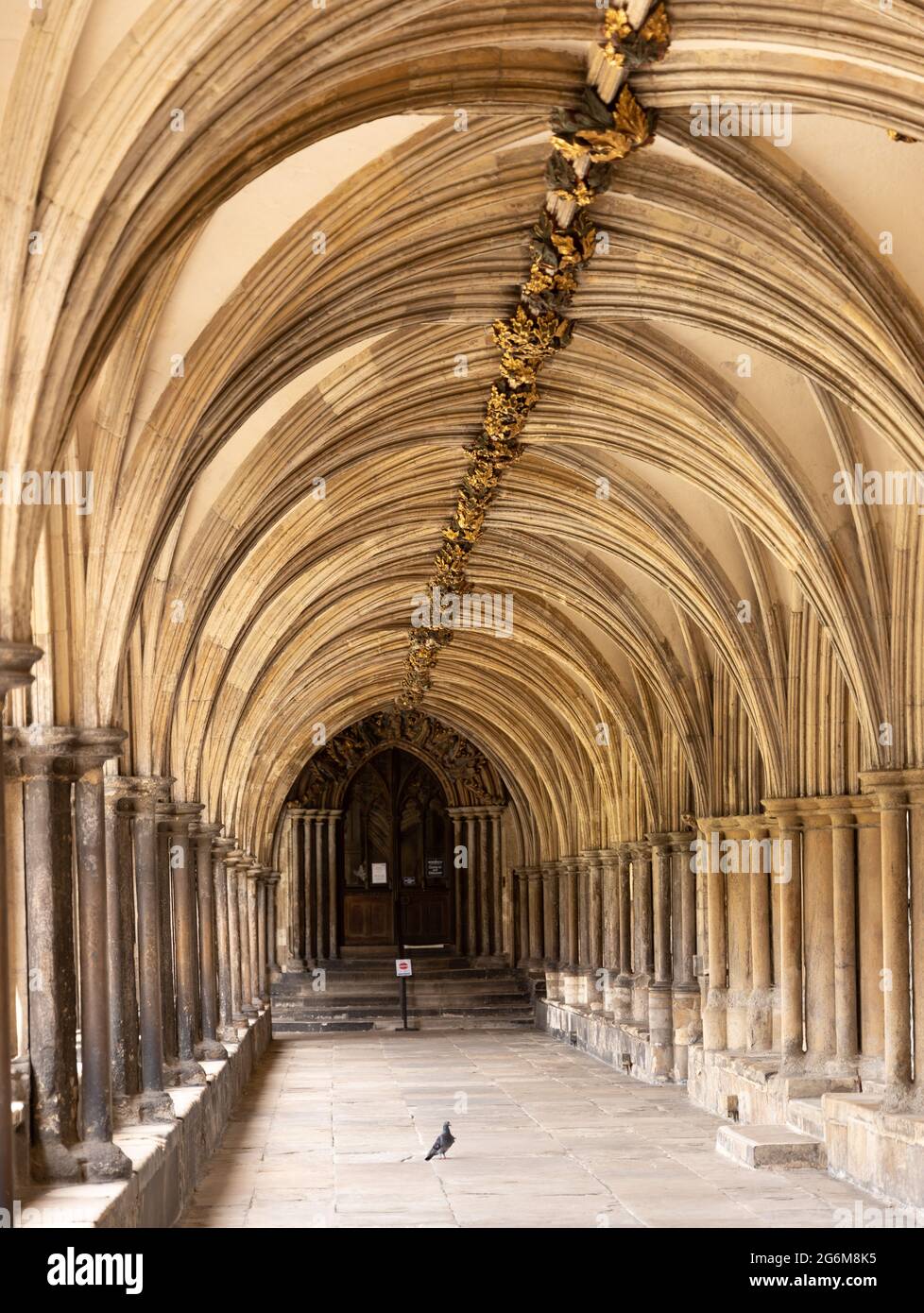 Chiostro ad arco chiuso nella Cattedrale di Norwich Foto Stock