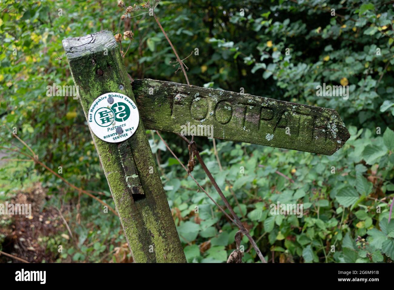 Primo piano di un vecchio cartello di legno verde muschio coperto sentiero, parte del servizio East Hampshire diritti di modo Foto Stock