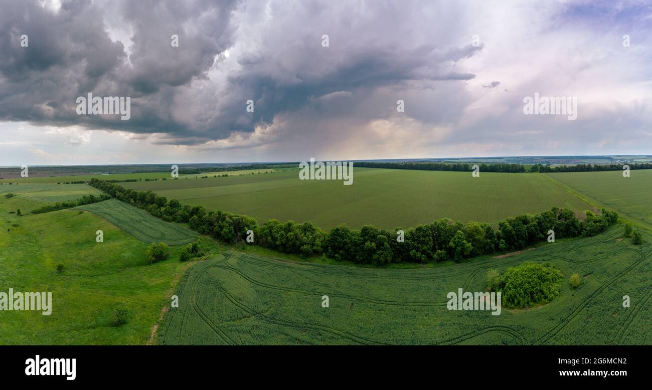 Panorama aereo vista estiva, volare sopra i campi verdi con il paesaggio torbido nuvoloso. Pioggia oscura condizioni meteorologiche sfavorevoli nella zona agricola rurale. Vista sul drone Foto Stock