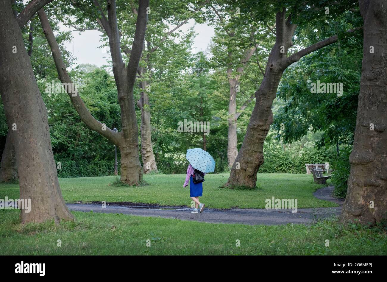 Una donna che tiene un ombrello per bloccare il sole cammina su un sentiero in Kissena Park, Flushing, New York City. Foto Stock