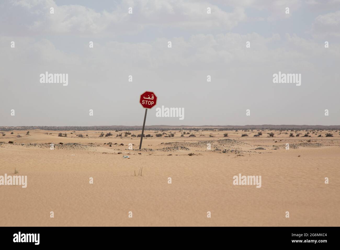 Un segnale di fermata nel deserto di Dubai, Emirati Arabi Uniti. Foto Stock