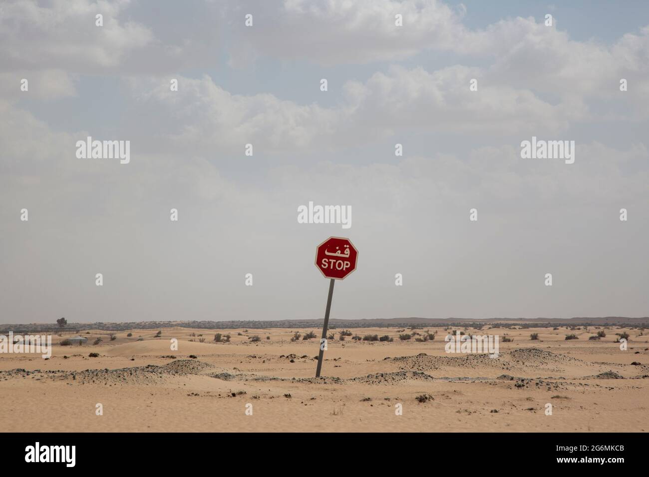 Un segnale di fermata nel deserto di Dubai, Emirati Arabi Uniti. Foto Stock