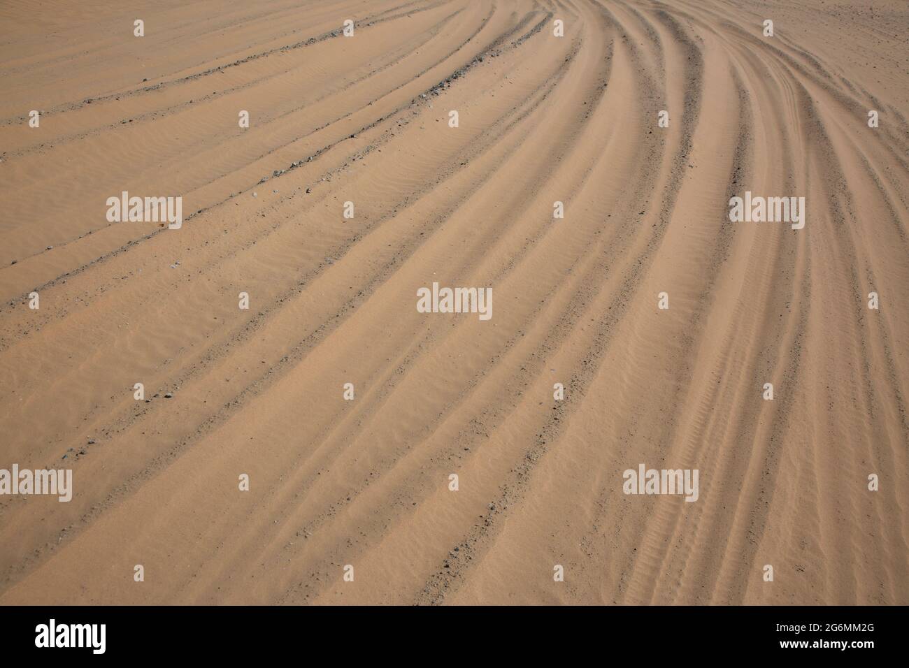Tracce di ruote nella sabbia, al Marmoom deserto, Dubai, Emirati Arabi Uniti Foto Stock
