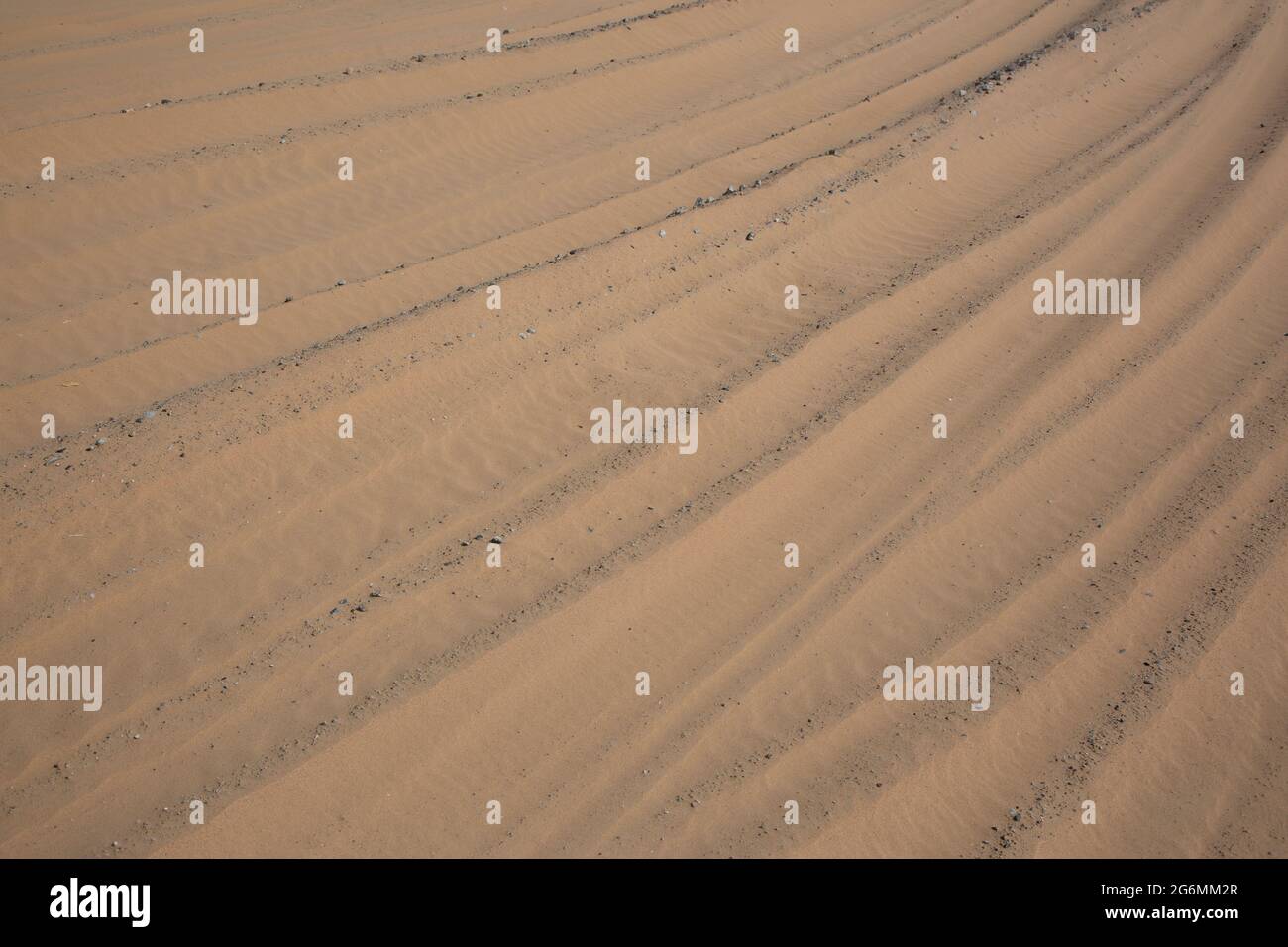Tracce di ruote nella sabbia, al Marmoom deserto, Dubai, Emirati Arabi Uniti Foto Stock