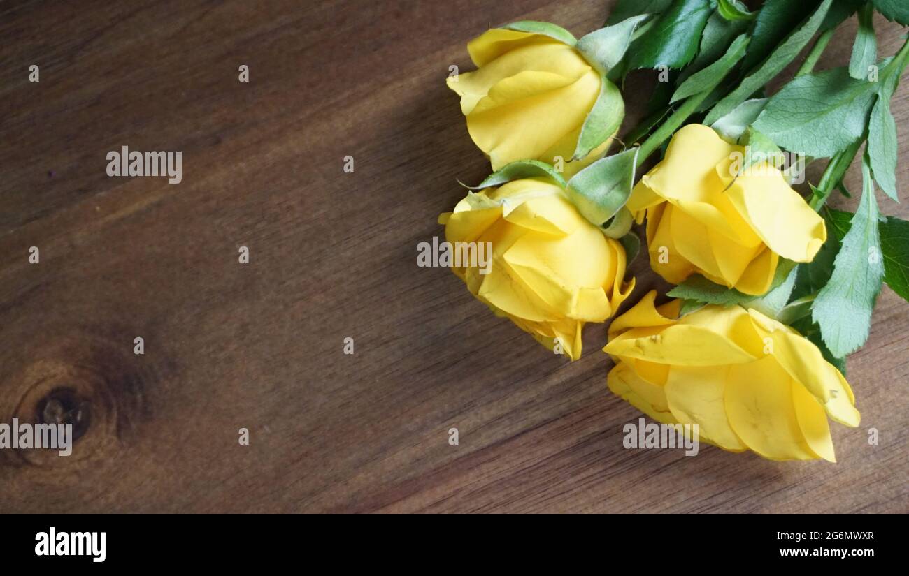 fiori gialli in una base di legno. Foto Stock