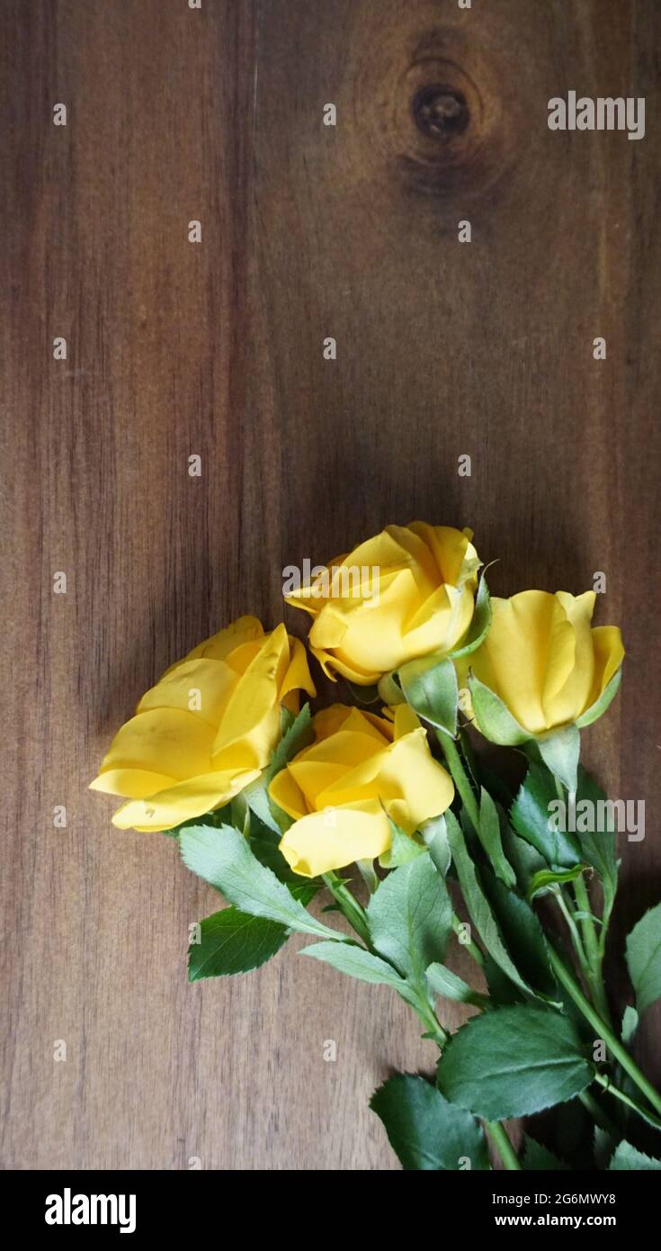 fiori gialli in una base di legno. Foto Stock