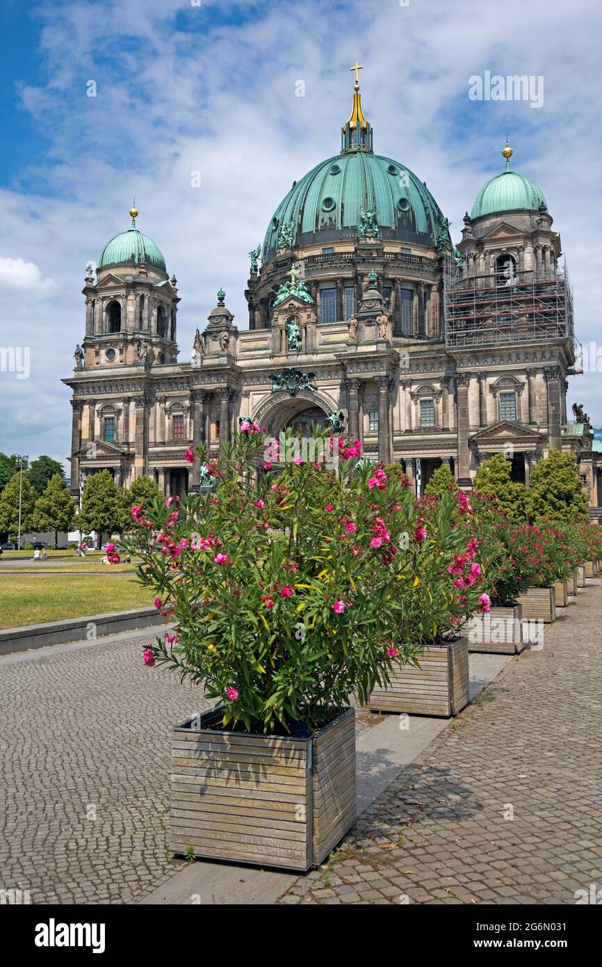 Cattedrale di Berlino, Berliner Dom, Parrocchia e Collegiata evangelica Suprema, Berlino, Germania, Foto Stock