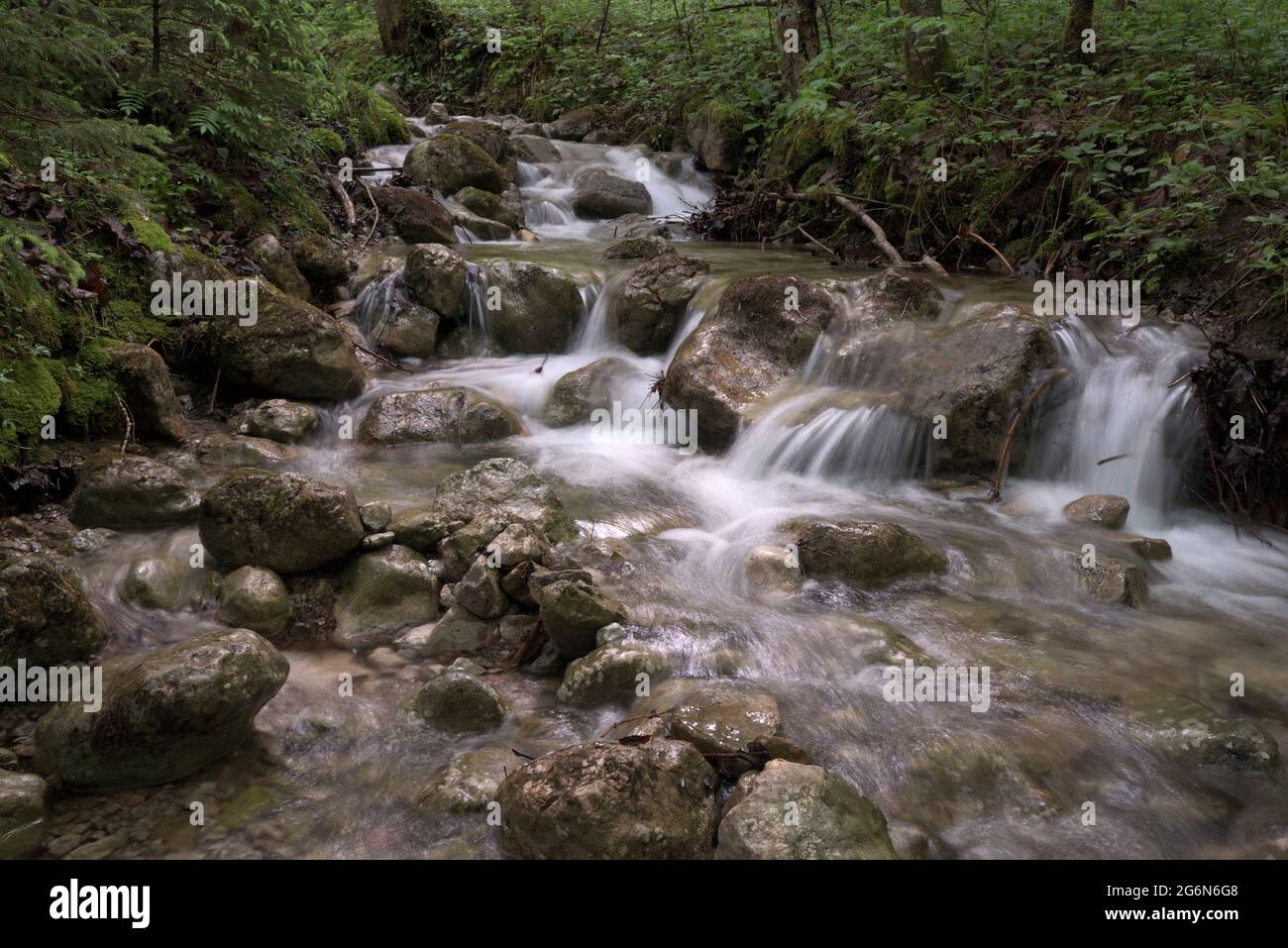 Torrente di montagna che scende con piccole cascate, Berchtesgaden, Baviera, Germania Foto Stock