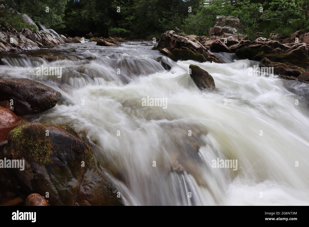 Sfocatura intenzionale del movimento nel fiume di montagna Foto Stock