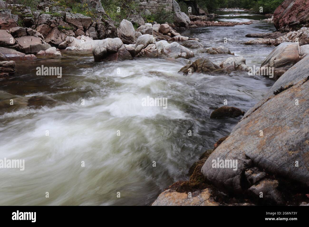 Sfocatura intenzionale del movimento nel fiume di montagna Foto Stock
