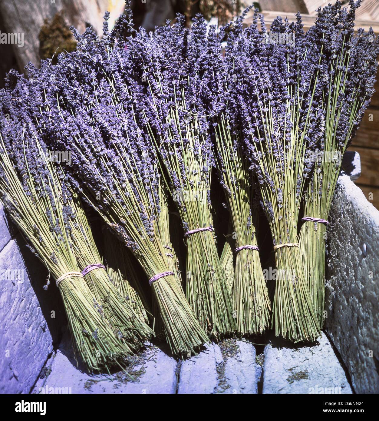 Mazzi di fiori secchi di lavanda in piccoli grappoli aromatici in un  negozio di fiori all'aperto in Provenza, Francia. Bouquet di lavanda in  legno viola d'epoca Foto stock - Alamy