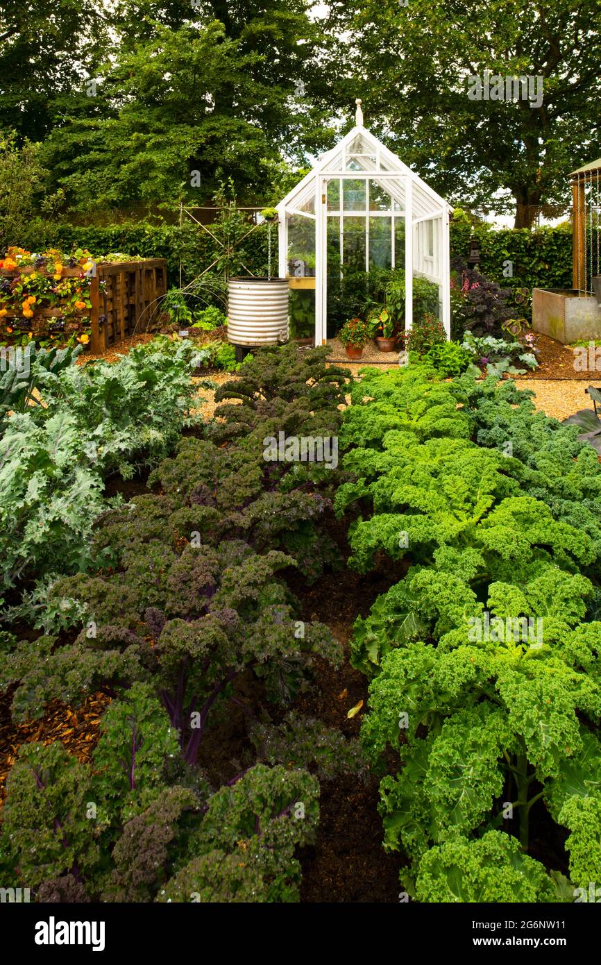 Il Giardino No Dig Allotment all'Hampton Court Palace Garden Festival 2021 Foto Stock