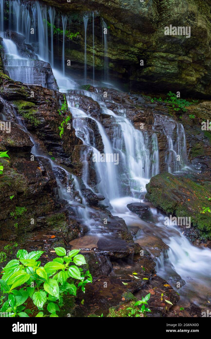 caduta dell'acqua Foto Stock