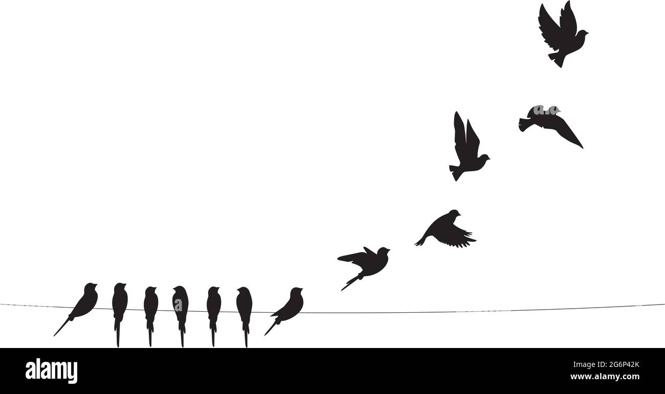 Uccelli su filo e uccelli volanti silhouette, vettore. Minimalismo scandinavo art design. Illustrazione uccelli isolato su sfondo bianco. Arte da parete, arte Illustrazione Vettoriale