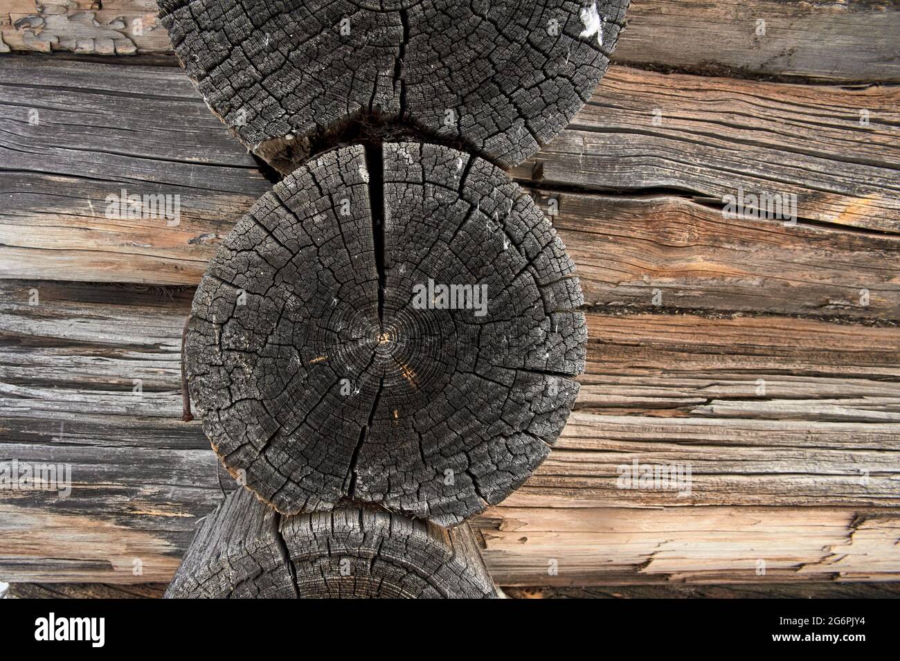 il muro di una casa di legno fatta di vecchi tronchi Foto Stock