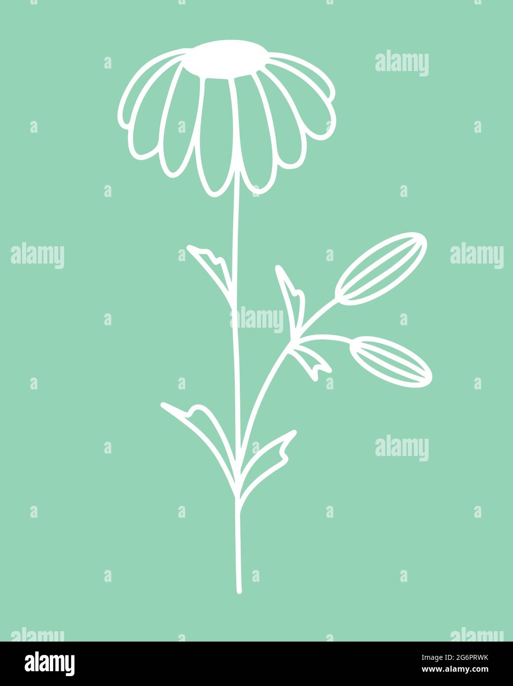Profilo fiore camomilla, vettoriale. Illustrazione di un fiore su uno stelo. Semplice elemento bianco botanico. Disegno manuale, contorno. Illustrazione Vettoriale