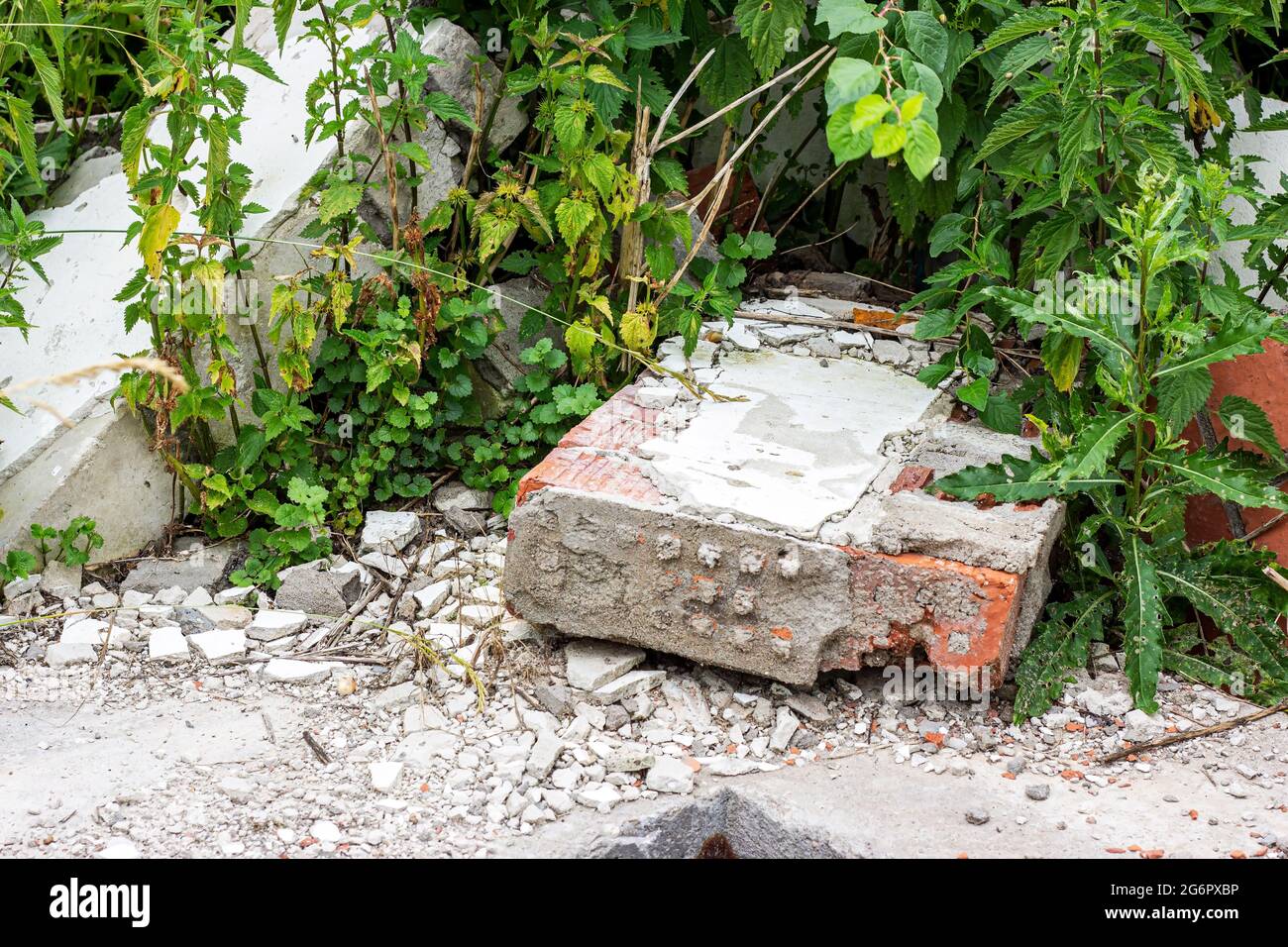 Сonstruction rifiuti, detriti e macerie di rifiuti in una remota area verde foresta. Natura e inquinamento del suolo. Foto Stock