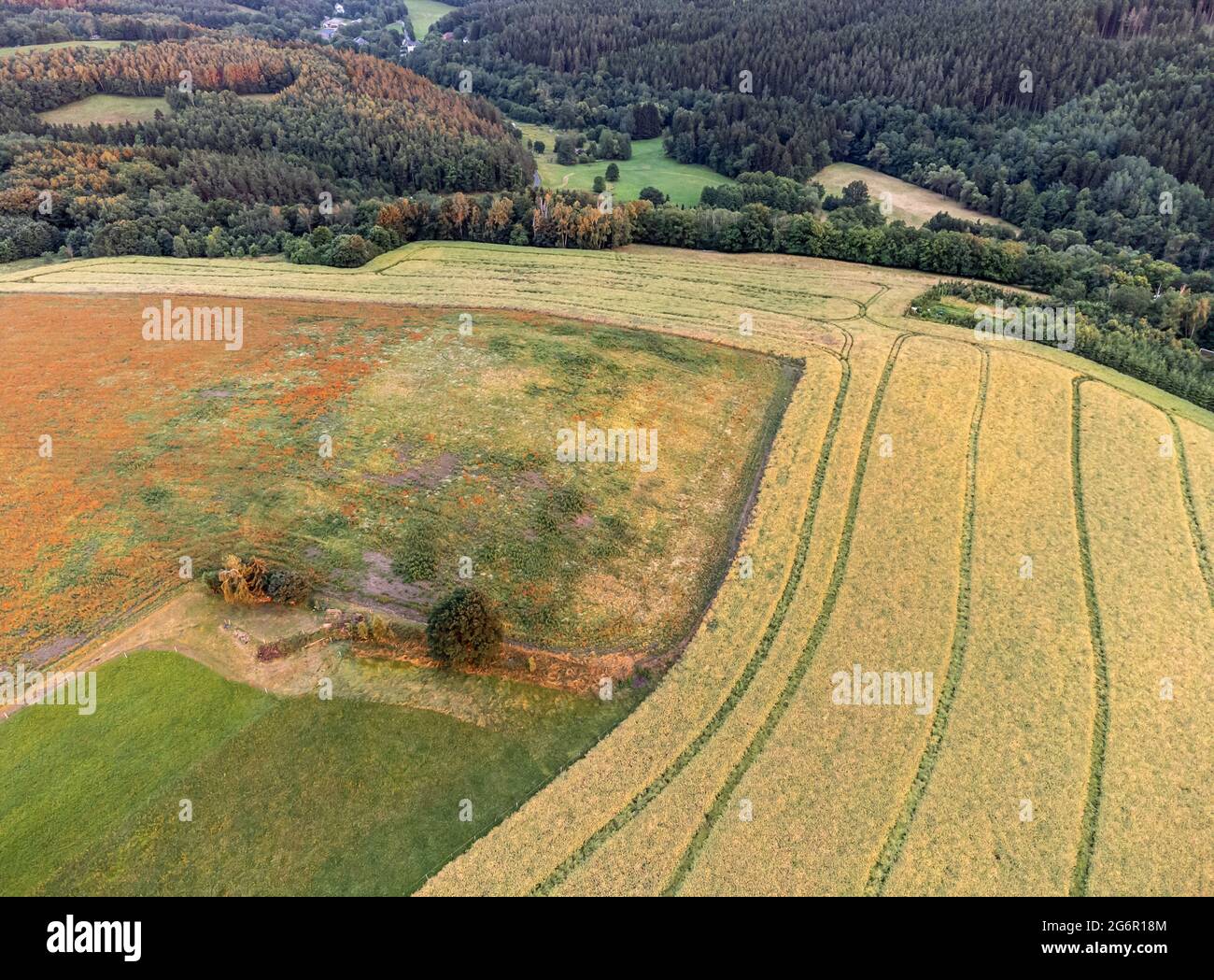 Vista aerea campo in agricoltura Foto Stock