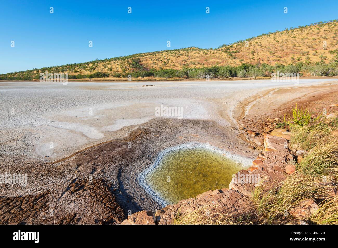 Modelli in mudflats e saline lungo la King River Road in Wyndham, regione di Kimberley, Australia Occidentale, WA, Australia Foto Stock