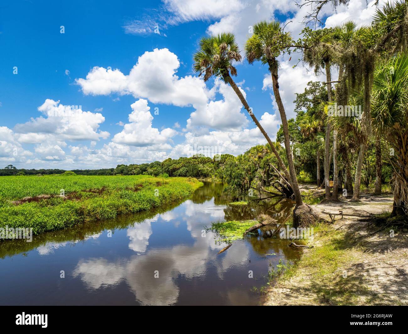 Myakka River in una giornata estiva con cielo blu e nuvole bianche nel Myakka River state Park a Sarasota Florida USA Foto Stock