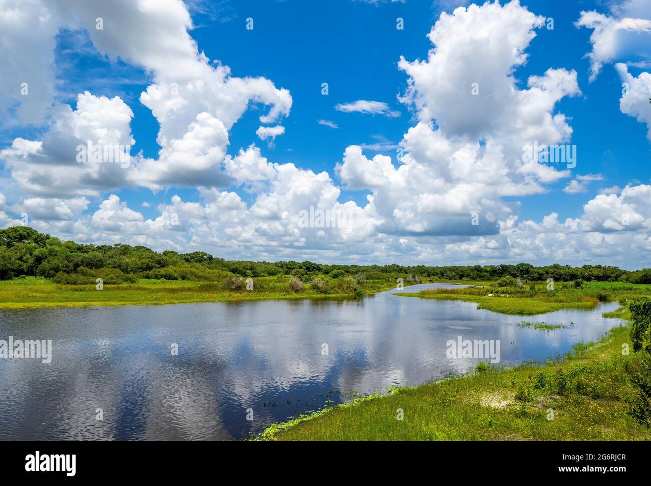 Myakka River in una giornata estiva con cielo blu e nuvole bianche nel Myakka River state Park a Sarasota Florida USA Foto Stock