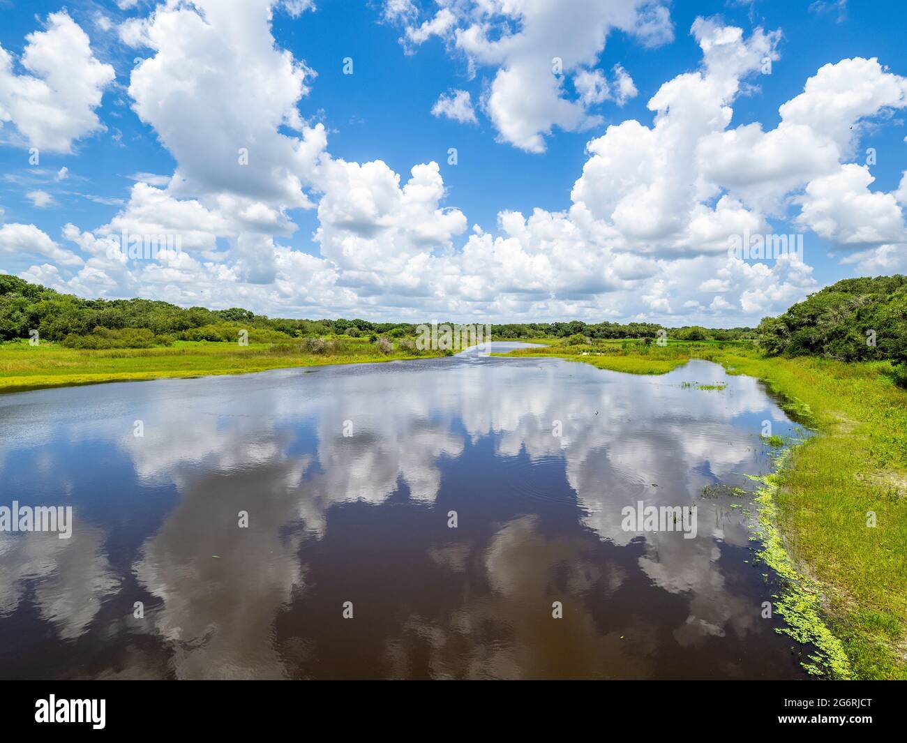 Myakka River in una giornata estiva con cielo blu e nuvole bianche nel Myakka River state Park a Sarasota Florida USA Foto Stock