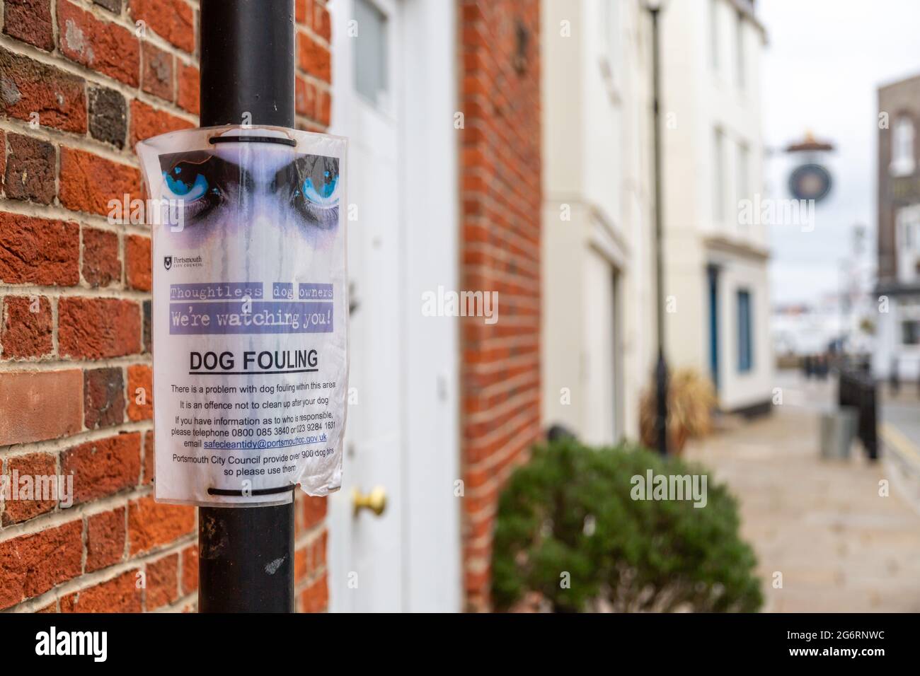 Un segno su un lampione che avverte circa il cane fouling Foto Stock