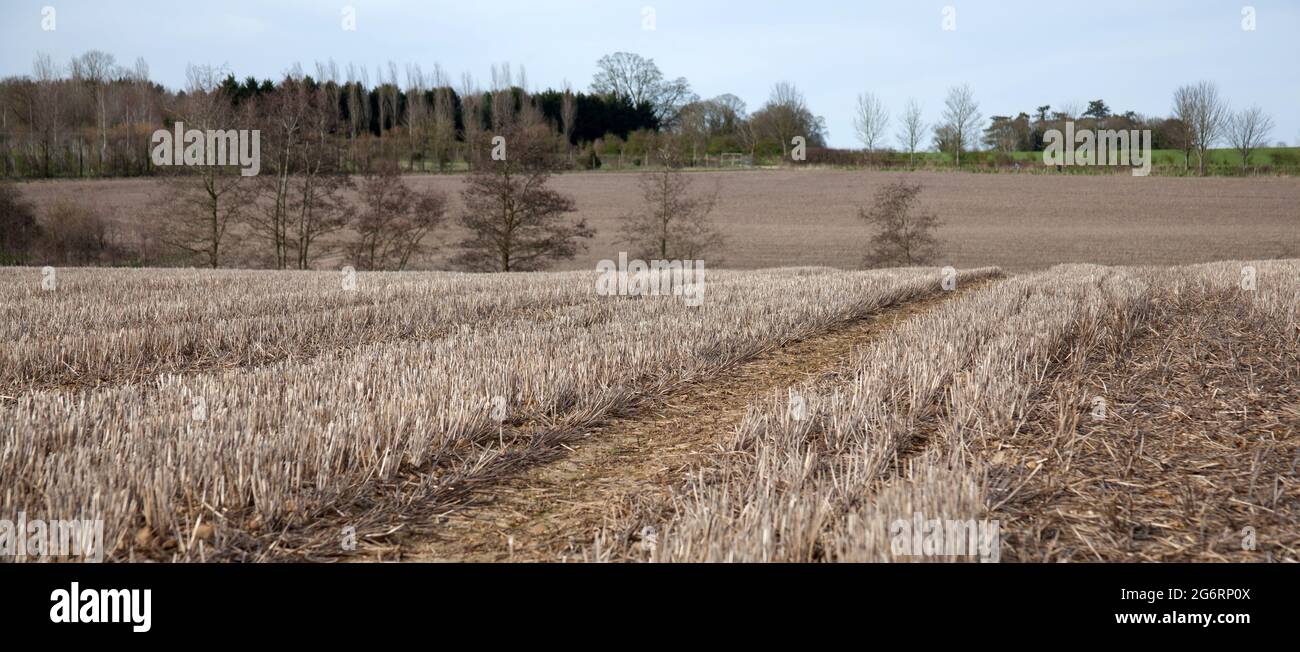 Wilcote, Oxfordshire, UK 03 21 2020 una scena rurale nell'Oxfordshire occidentale all'inizio della primavera Foto Stock