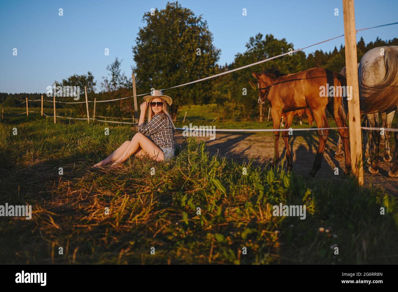 Bella giovane donna bionda vestito stile safari in cappello e camicia plaid che posa con cavalli purosangue in fattoria nel campo di tramonto all'aperto in campagna. Cavalli dietro una recinzione elettrica eccitata Foto Stock